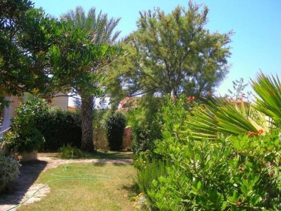 Garden, Park