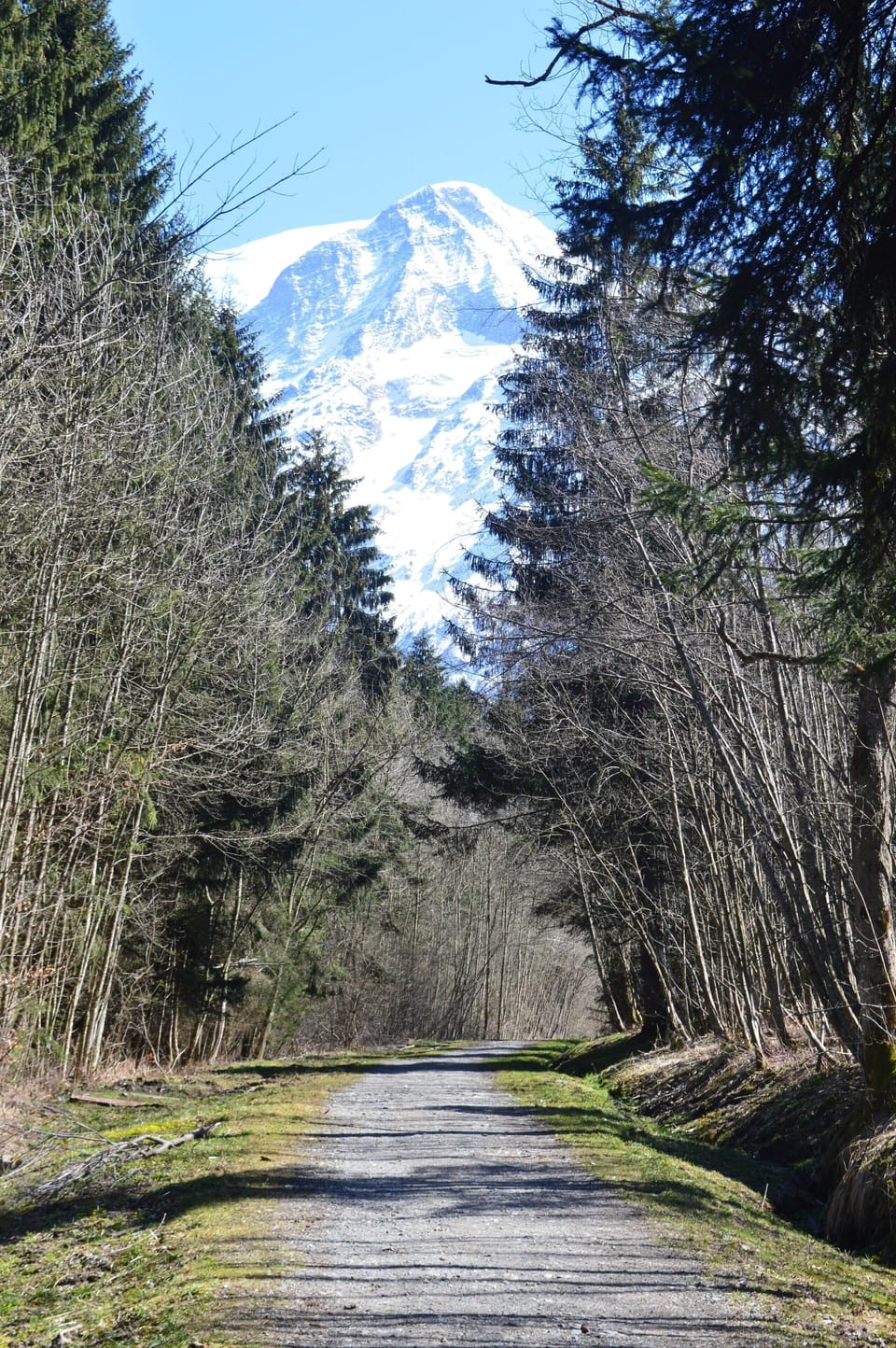 Forest Walk 4 mins away