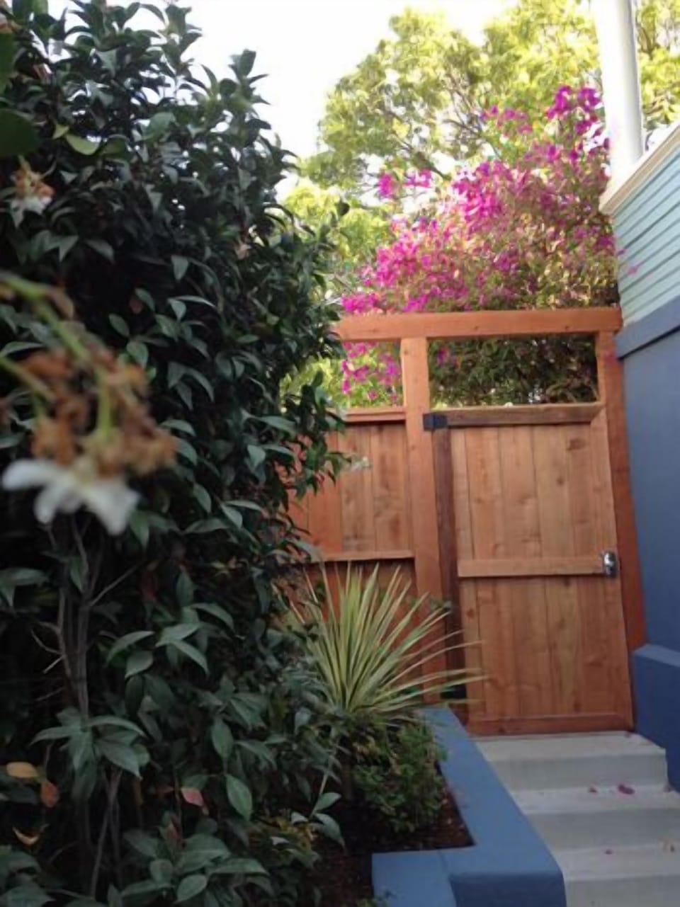 Patio garden. Separate entrance gate.
