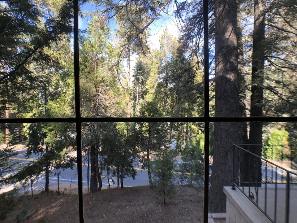 View of Lake