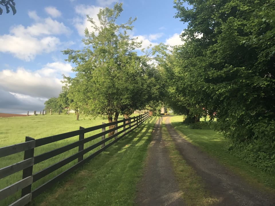 Driveway leading up to the farm
