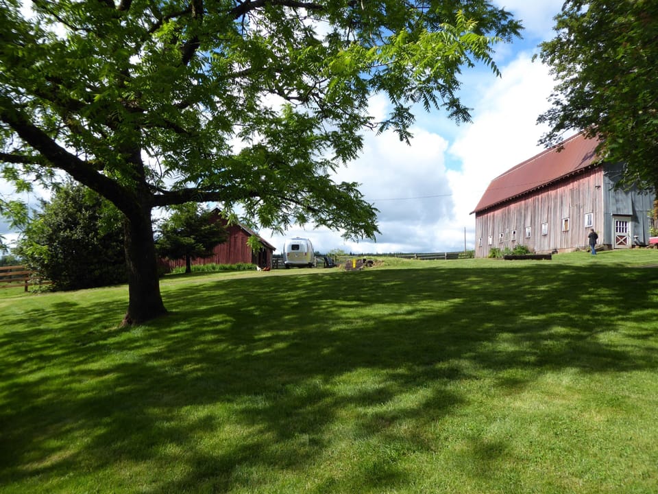 Our historic barn 