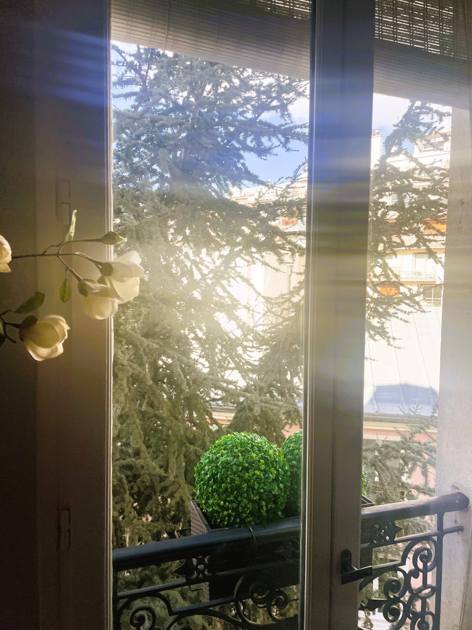 The appartement is very quiet as facing m 2 quiet courtyards with trees