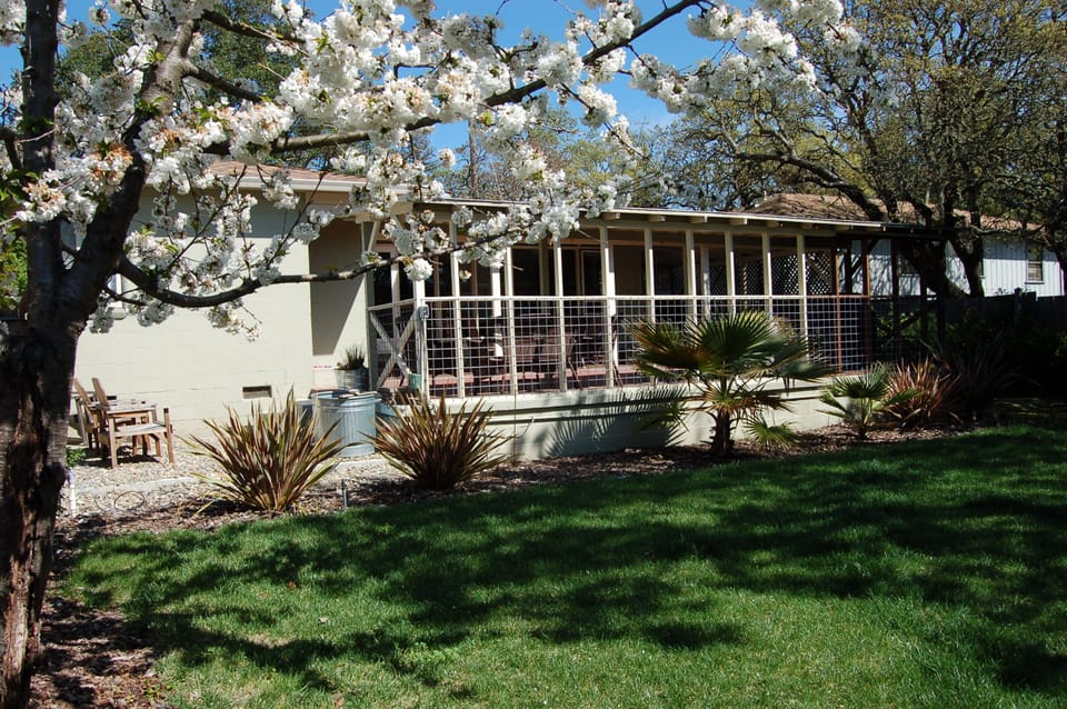 View of back yard and patio in Spring.