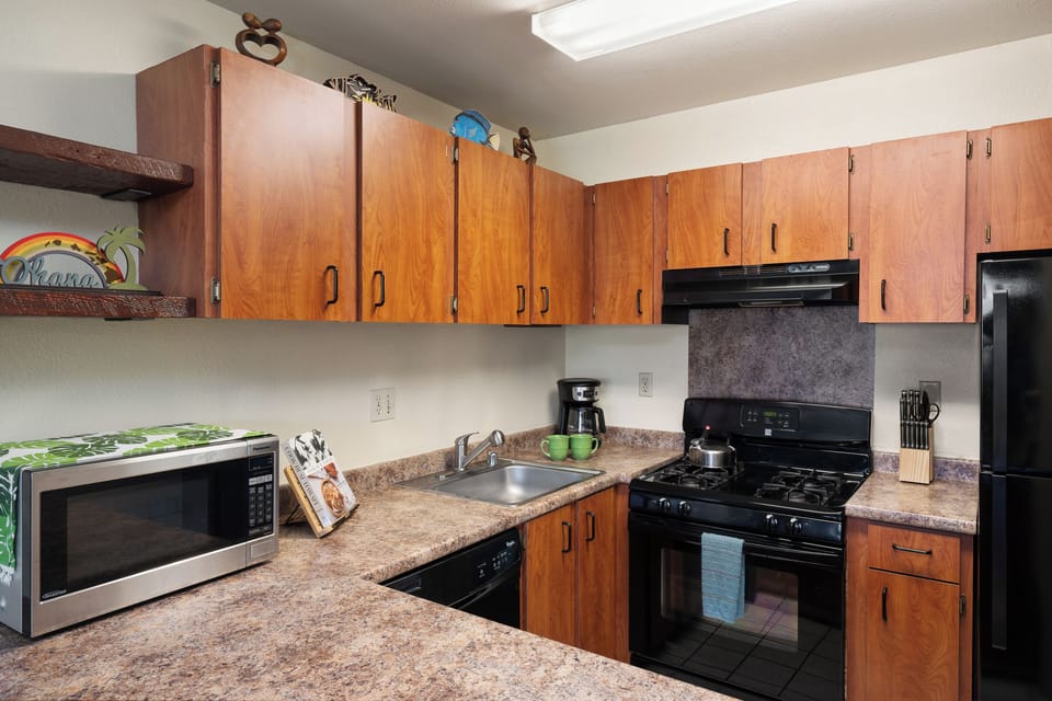 Cabinets have all you'll need...Blender, coffee grinder, rice cooker and more.