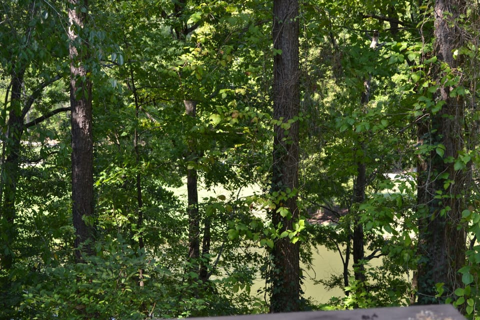 149LaviLn-back view 2