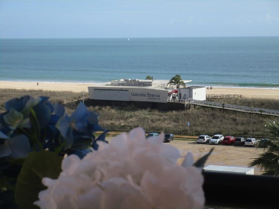 Beach/ocean view