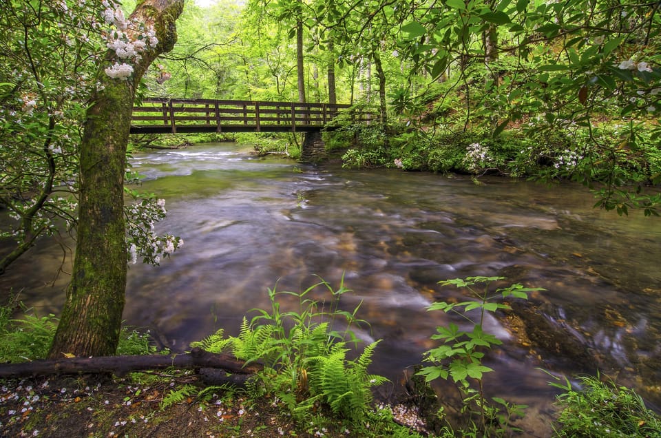 The Great Outdoors - The woods, streams, and foothills surrounding A Garden Blessing allow you to revel in nature’s grandeur.