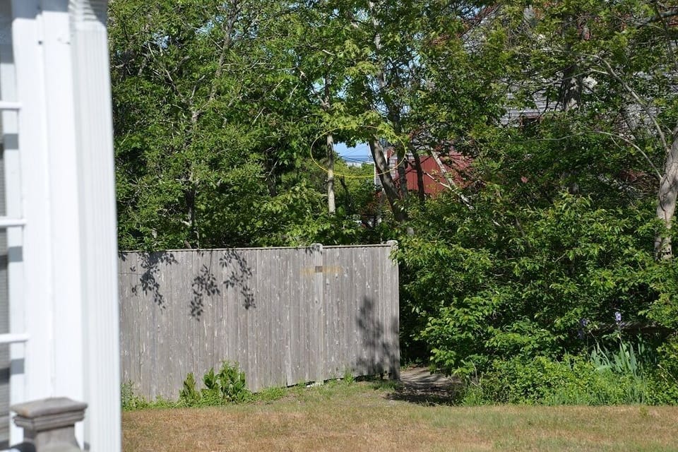 Peek of the water from the deck