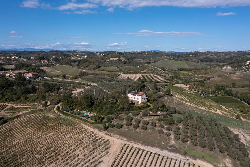 The villa is found at the end of a driveway surrounded by vineyards and olives