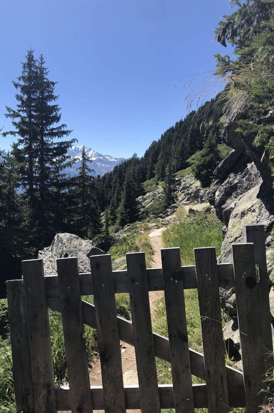 Sky, Plant, Mountain, Natural Landscape, Wood, Fence, Tree, Larch, Highland