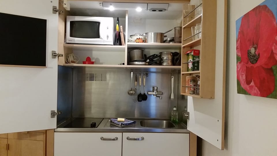 kitchenette with 2-ring hob, sink, fridge and microwave