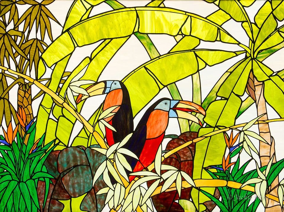 our birds of paradise