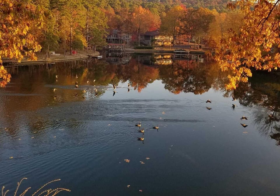 Lake House lake view fall with geese