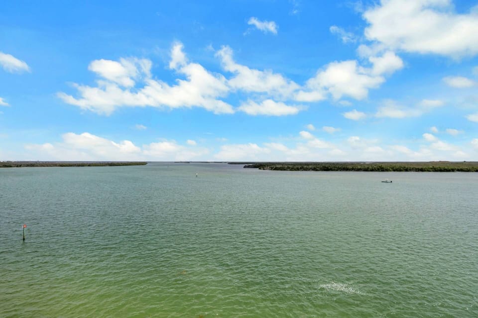 Stunning Estero Bay water views and Florida wild life views from the spacious balcony are yours!