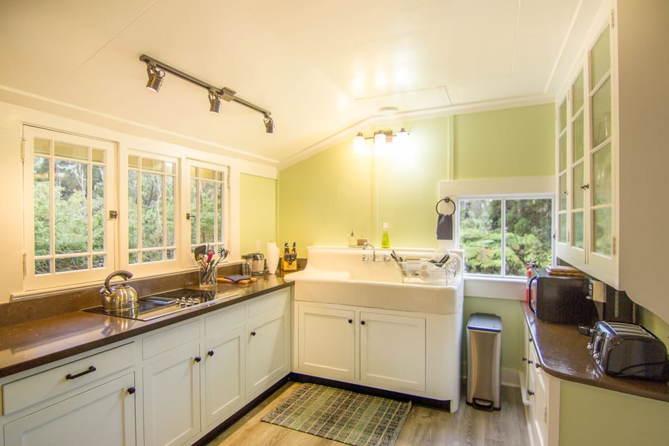 Old cast iron sink and new cabinets made of 100 year old salvaged heart Redwood.