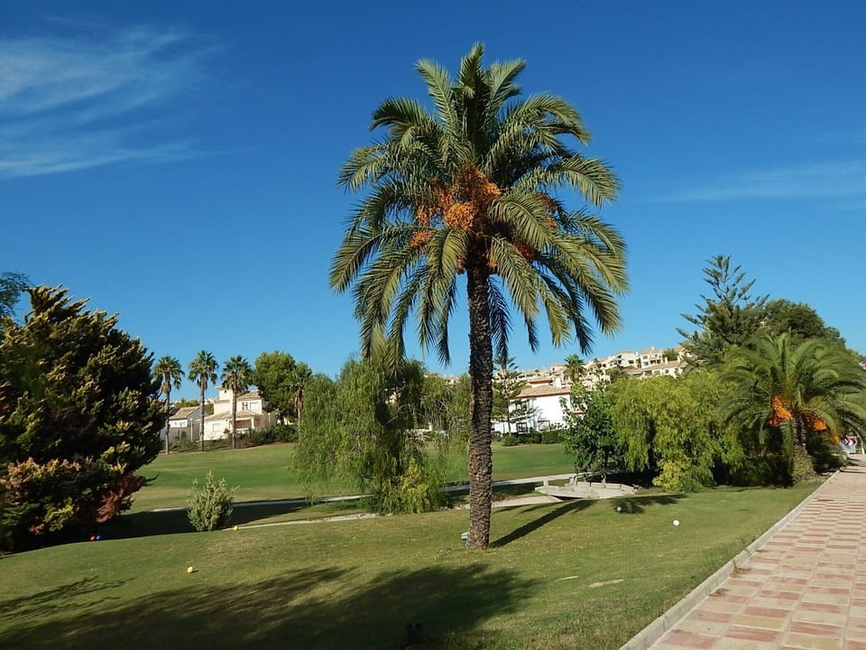 Campoamor golf course