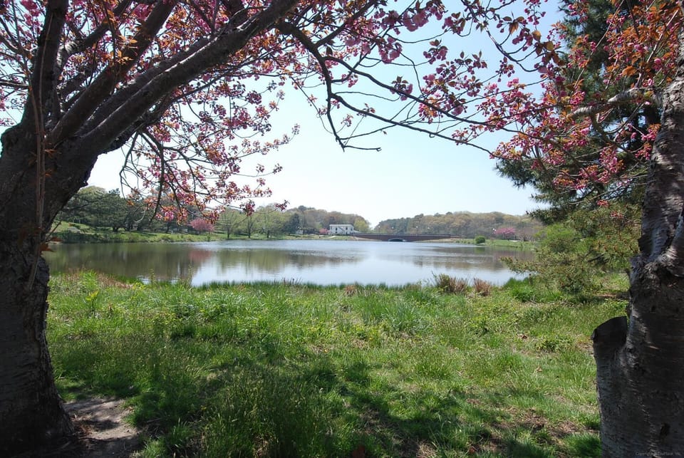 Amenity,Lake Gerar,