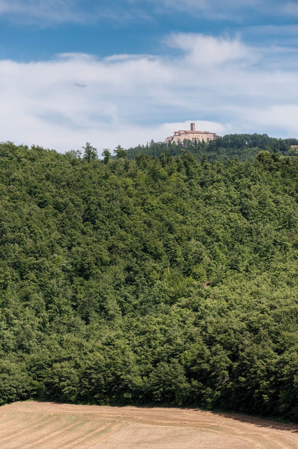Monte Santa Maria Tiberina looks over the valley in the distance.