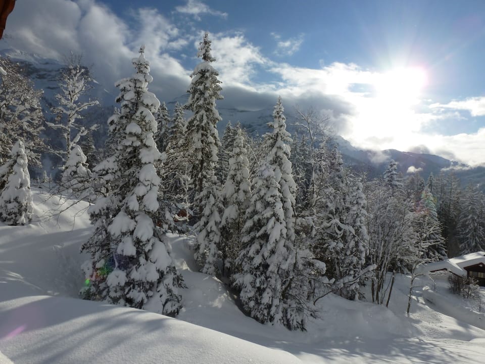 Snow and ski sports