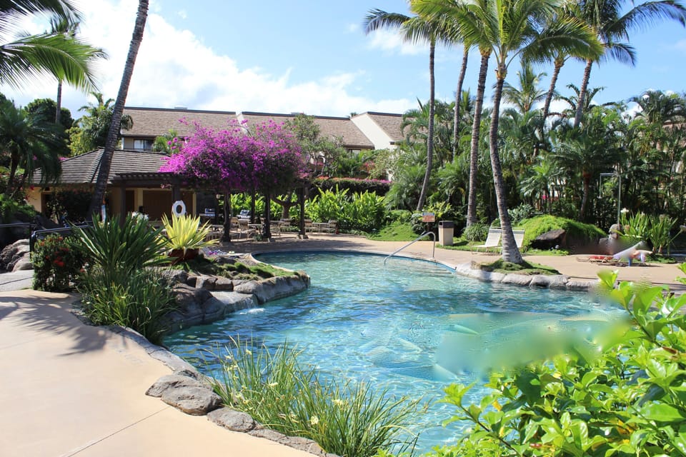 our water fall lush pool
