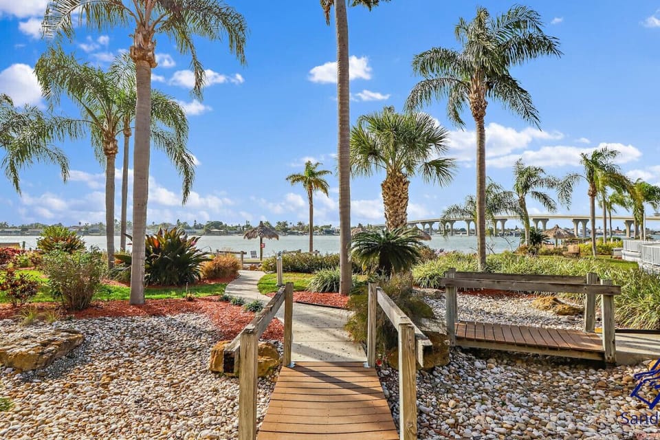 Bahia Vista Surrounding Area