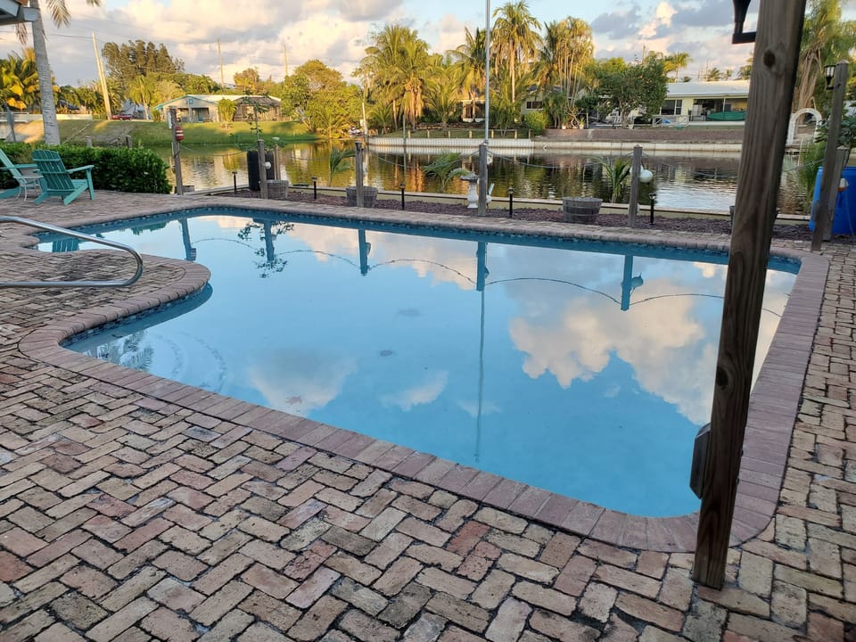 Go Swimming !