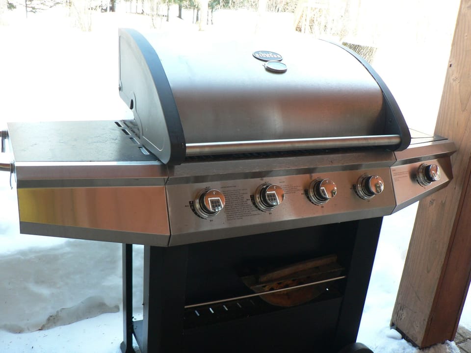 Grill for your use