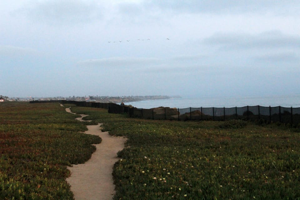 Trails extending down the coast