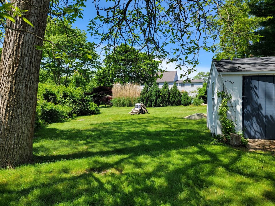 small backyard