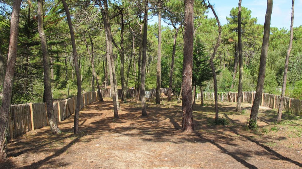 view over garden and forest from the terrace
