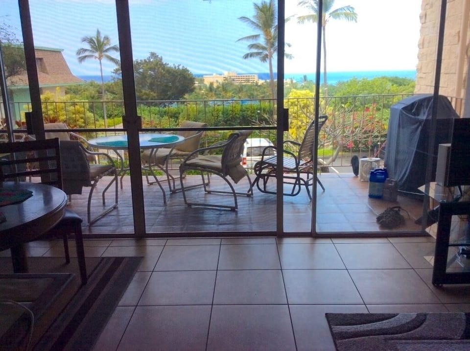 Living Room view to Lanai