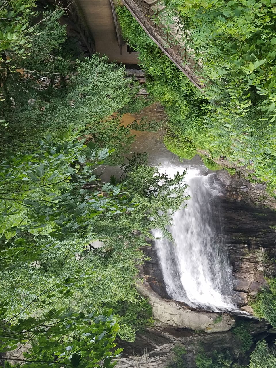 Looking Glass water fall, Pisgah Forest