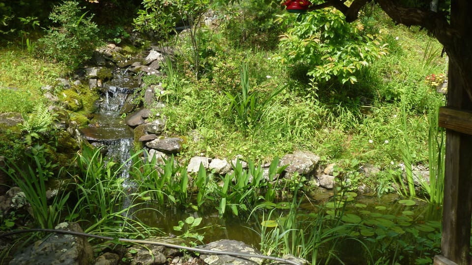 Water fall running into fish pond