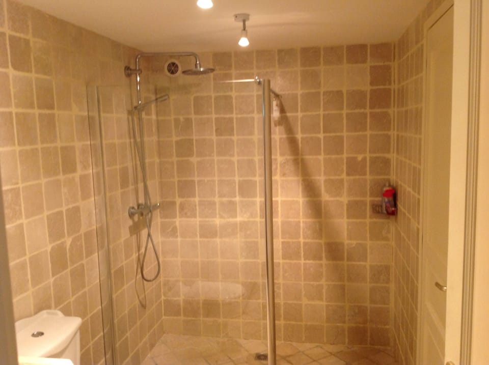 Downstairs bathroom with walk in shower