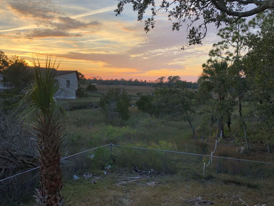 Enjoy fabulous marsh sunsets from the back deck.