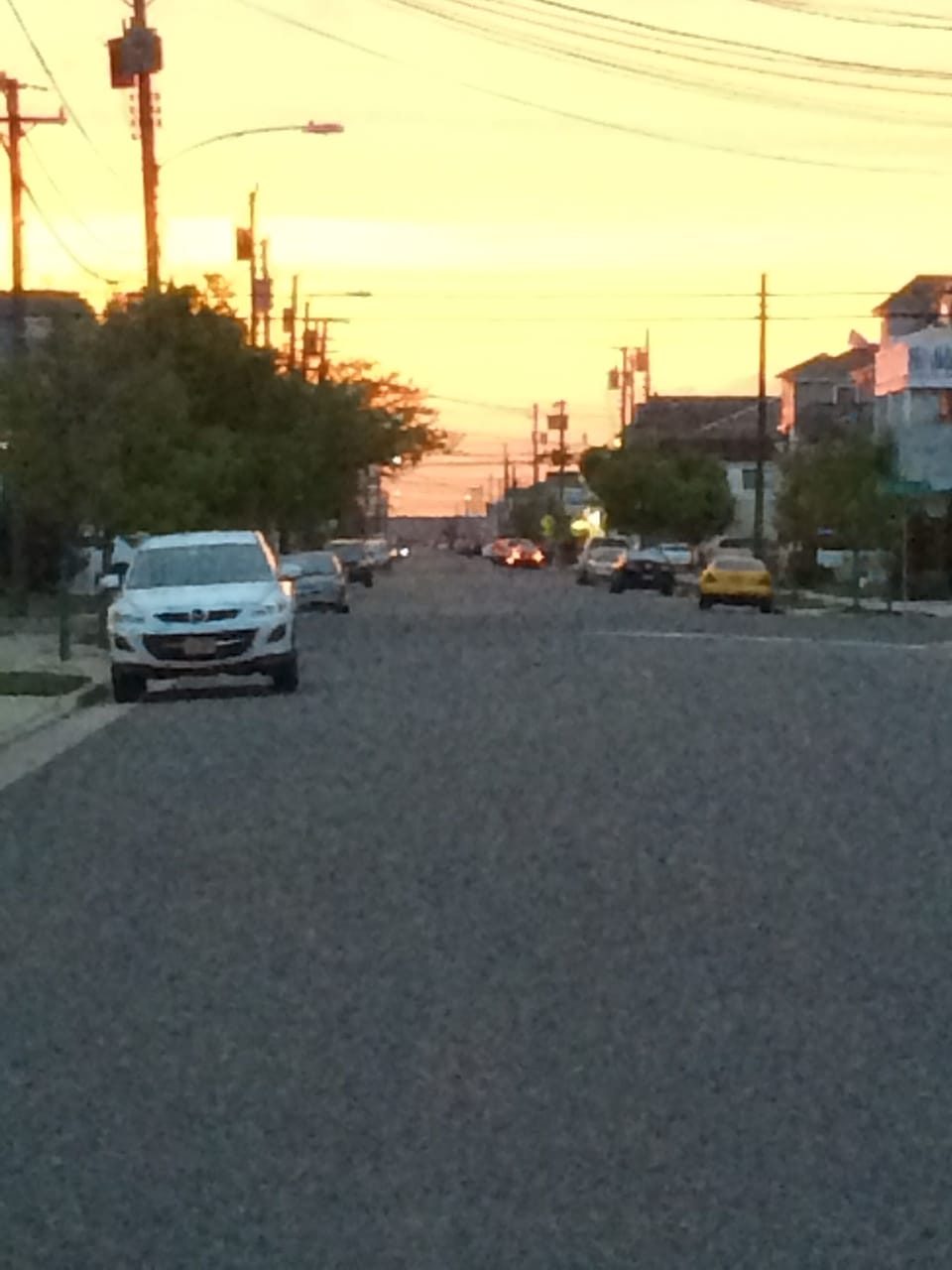 Bayside Sunset
