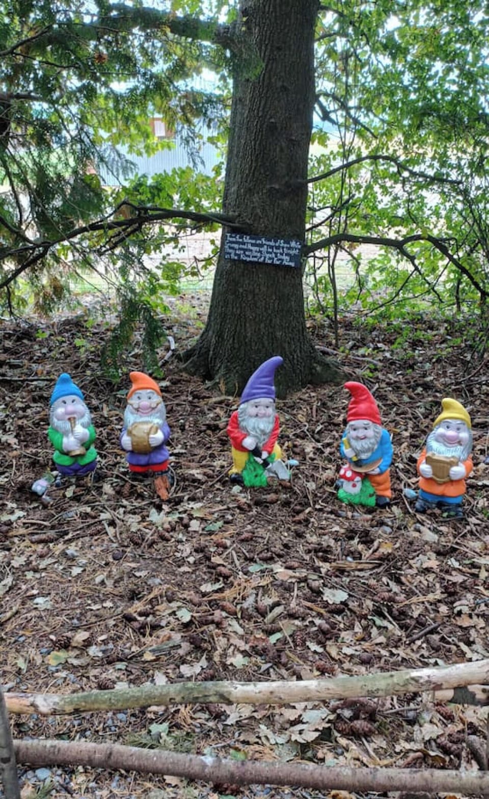 Enchanted forest walk surprises.