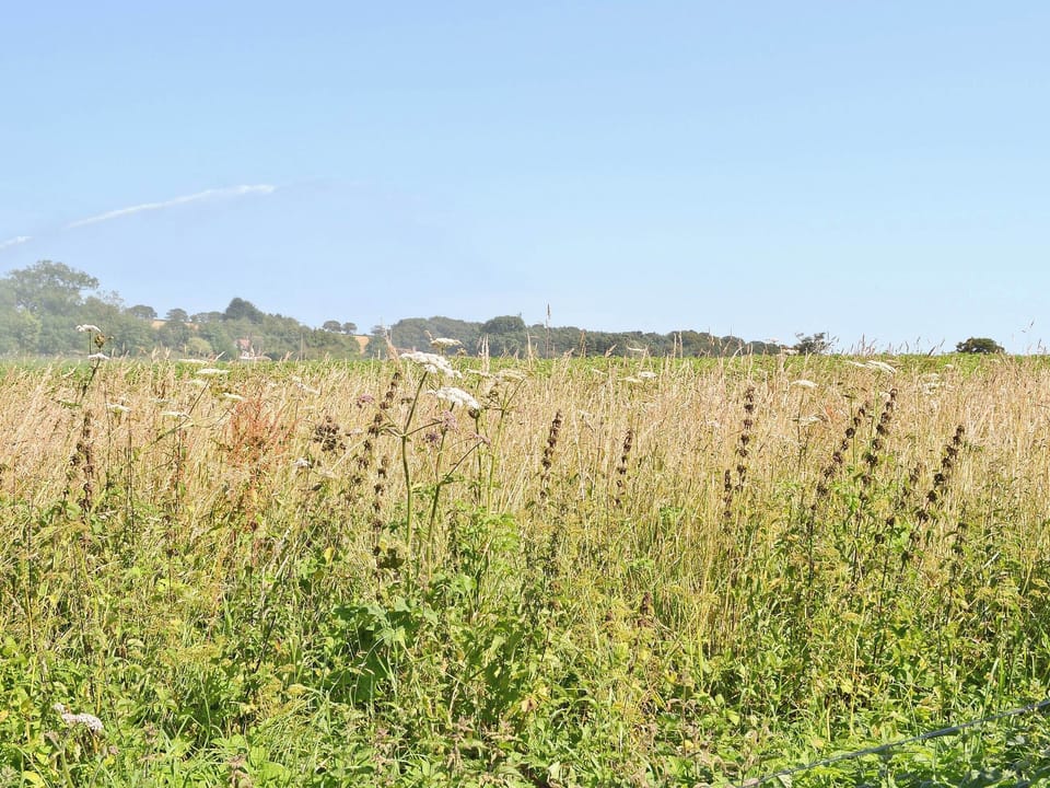 View | Grey Ladies, East Beckham, nr. Sheringham