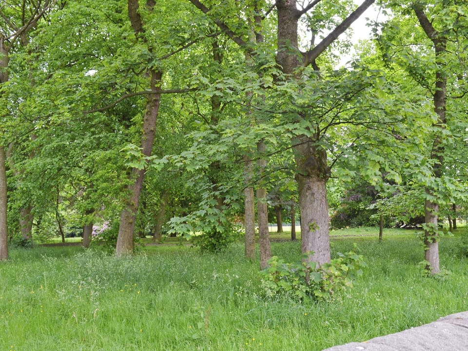 Manor park across from front of property | Park View Cottage, Glossop