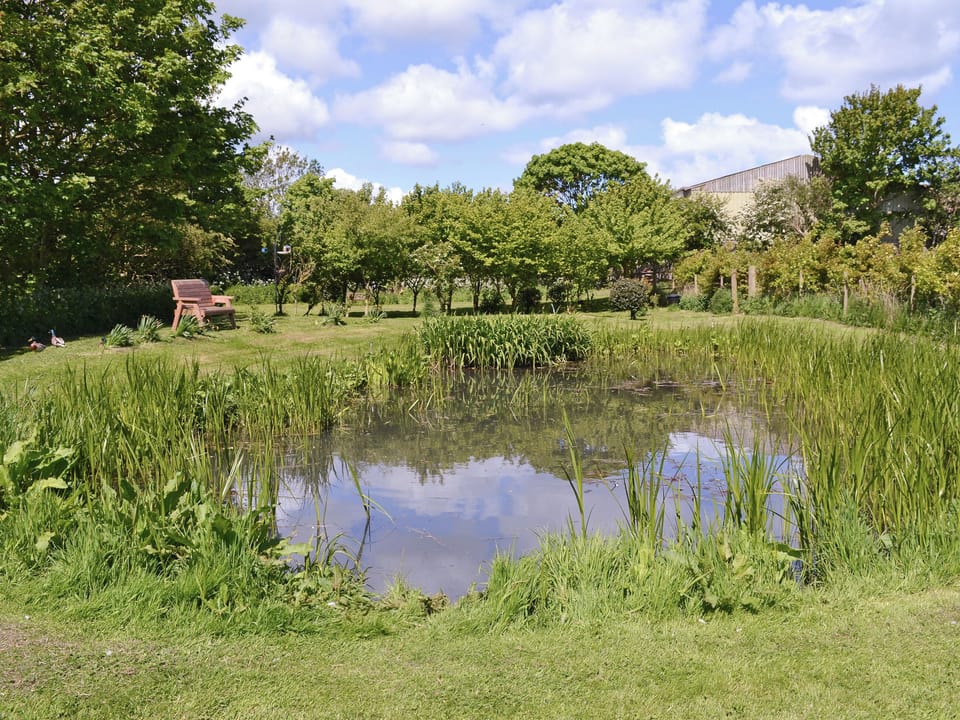 Pond | Rockville Farm - The Milking Parlour, Bempton, nr. Flamborough