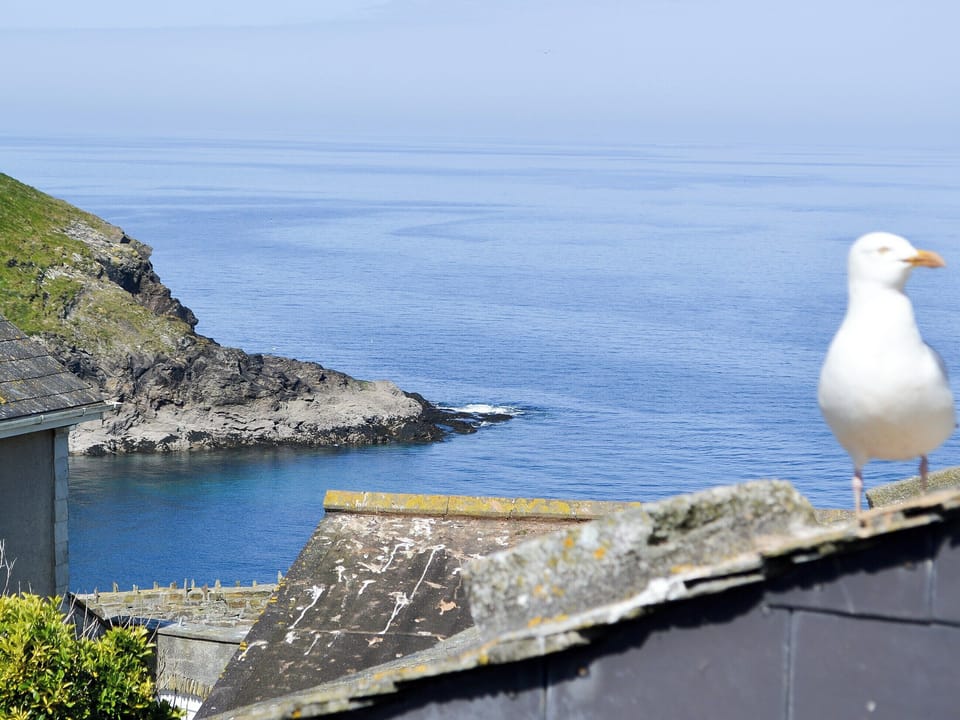 Views | Cobblers Cottage, Port Isaac