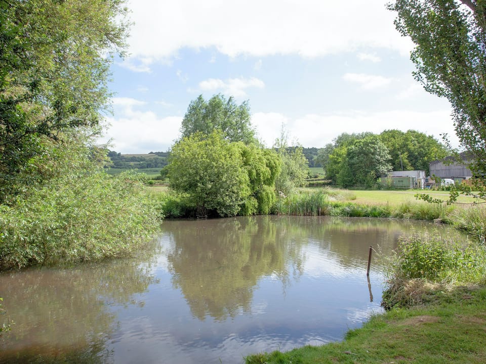 Garden and grounds | The Old Forge, Bleadon, near Weston-super-Mare