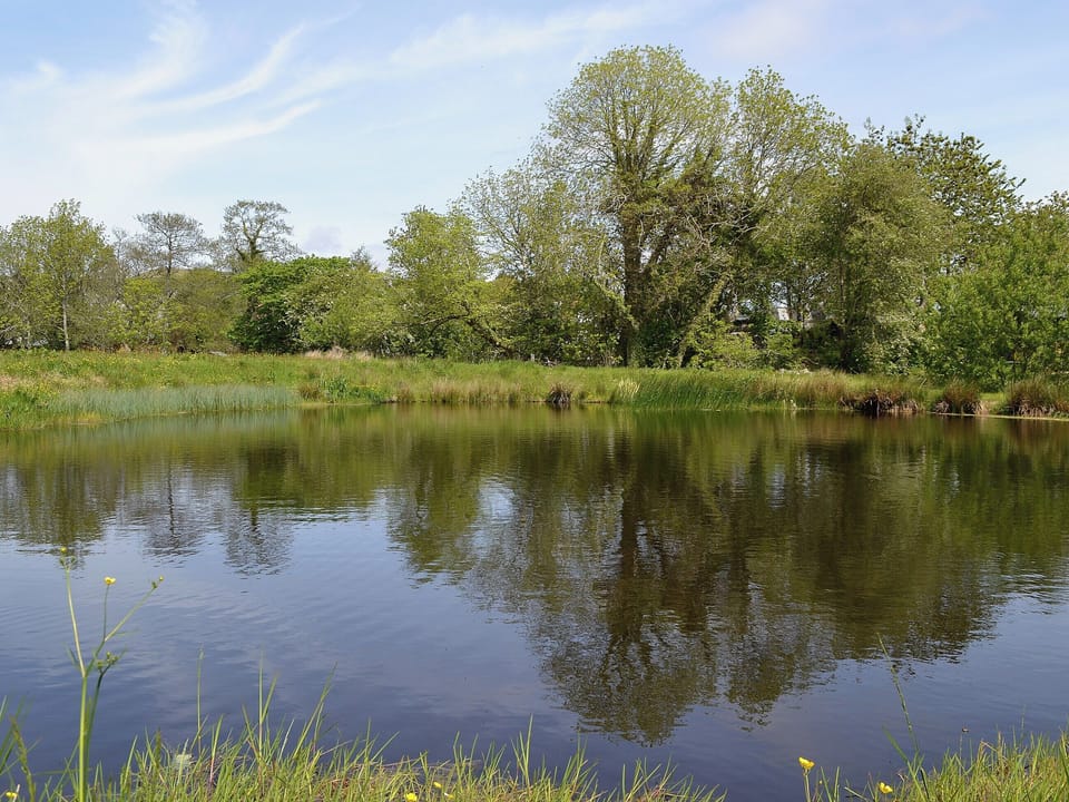 Garden and grounds | Tigh A Vullin, Ardfern, nr. Lochgilphead
