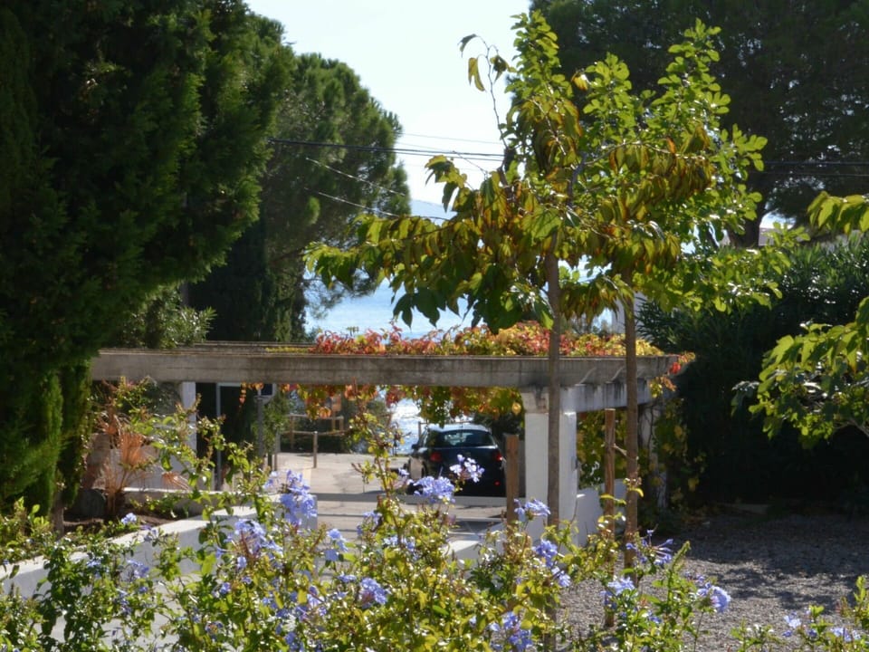 Bridge, Tree, Garden, Botany, Plant, Spring, Shrub, House, Flower, Rural Area