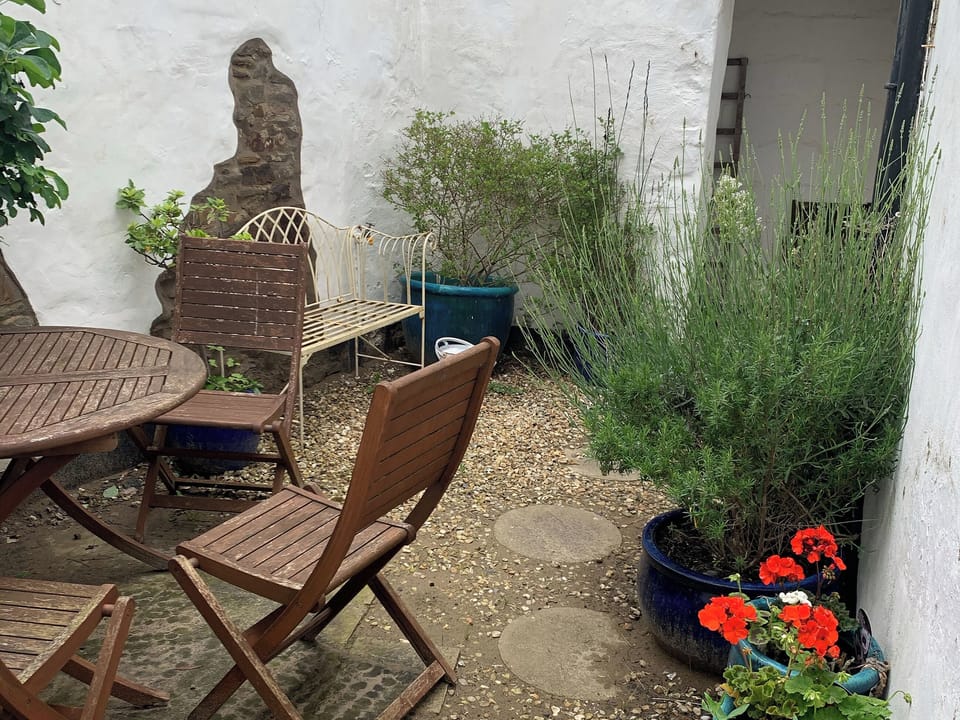 Courtyard | Midships, Instow
