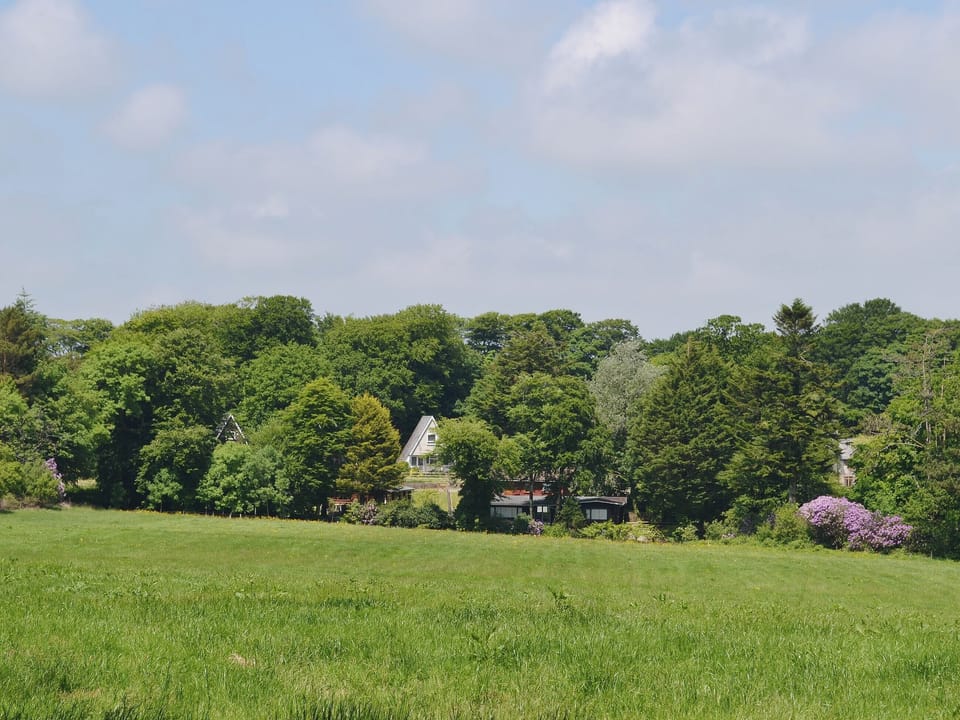 Looking across the fields towards W43108 and W43362 | Berridon Hall Lodges, Bradworthy, nr. Holsworthy