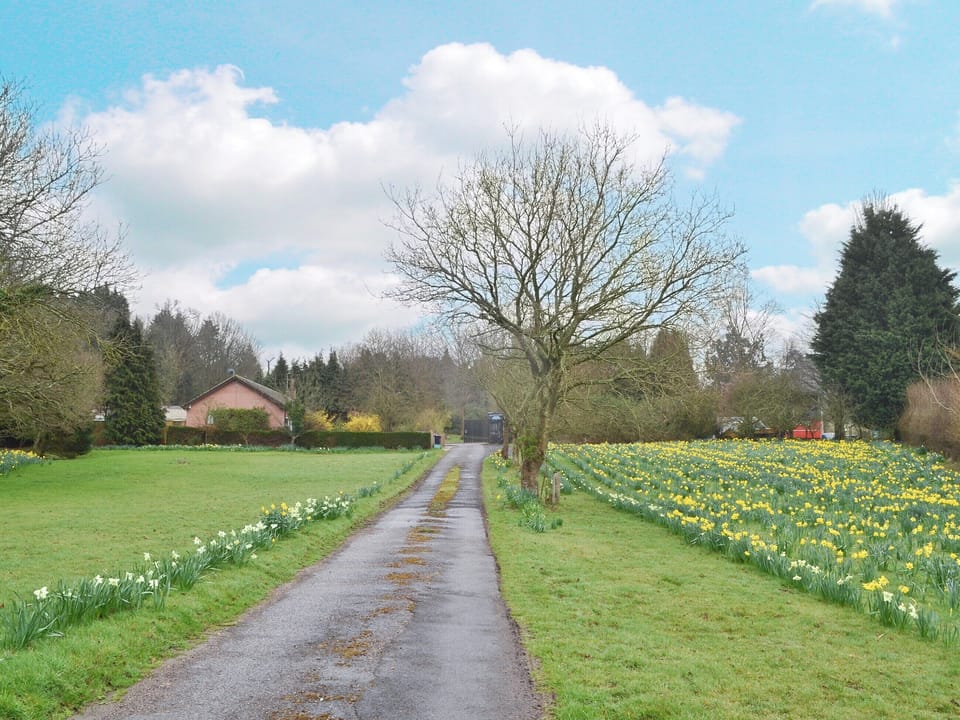 View | West View, Sturminster Marshall, nr. Wimborne