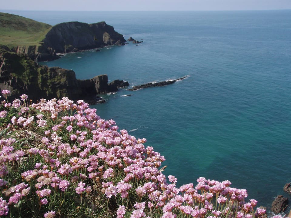 Beach | Atlantic House, Smuggler&rsquo;s Retreat - Smuggler&rsquo;s Retreat and Atlantic House, Hartland Point