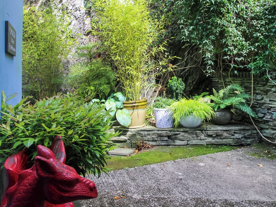 Garden and grounds | Tŷ Melindwr, Hen Goginan, near Aberystwyth